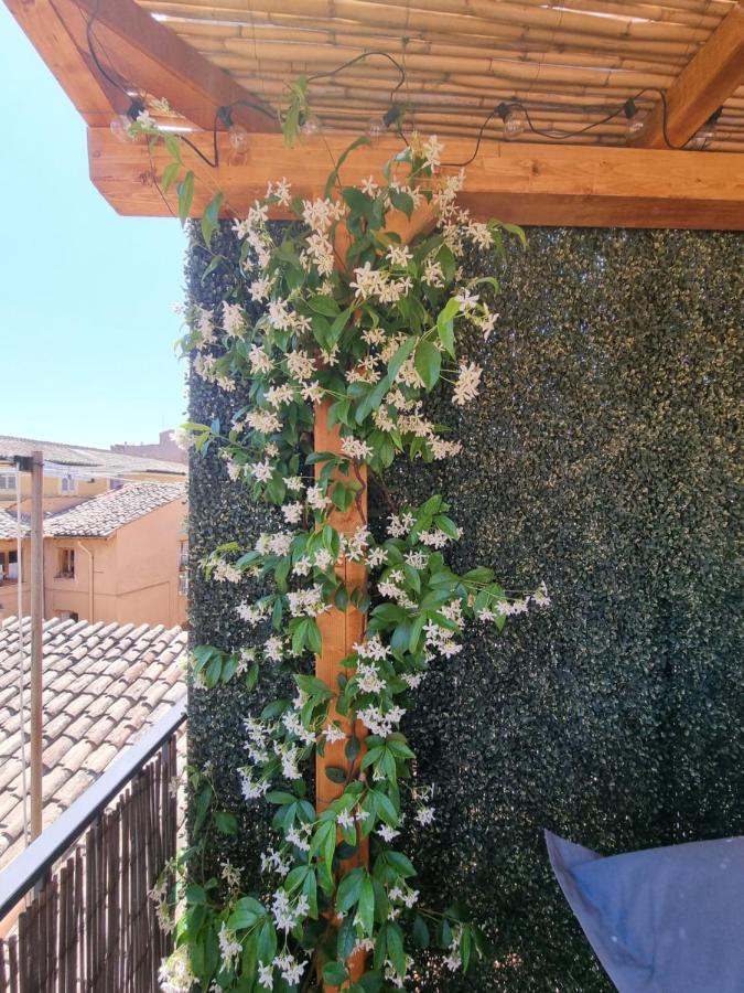 Paradise Penthouse Suite Amazing View روما المظهر الخارجي الصورة